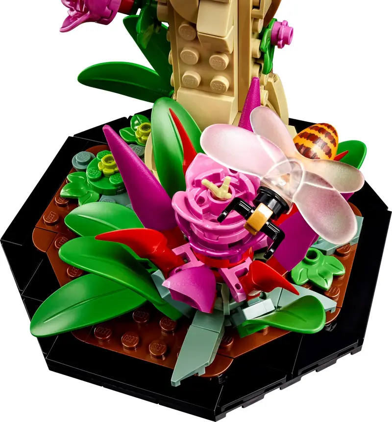 LEGO 21342 Kolekcja owadów zdjęcie 6