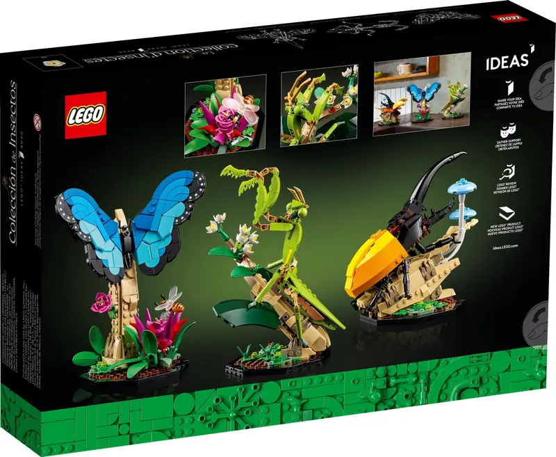 LEGO 21342 Kolekcja owadów zdjęcie 7