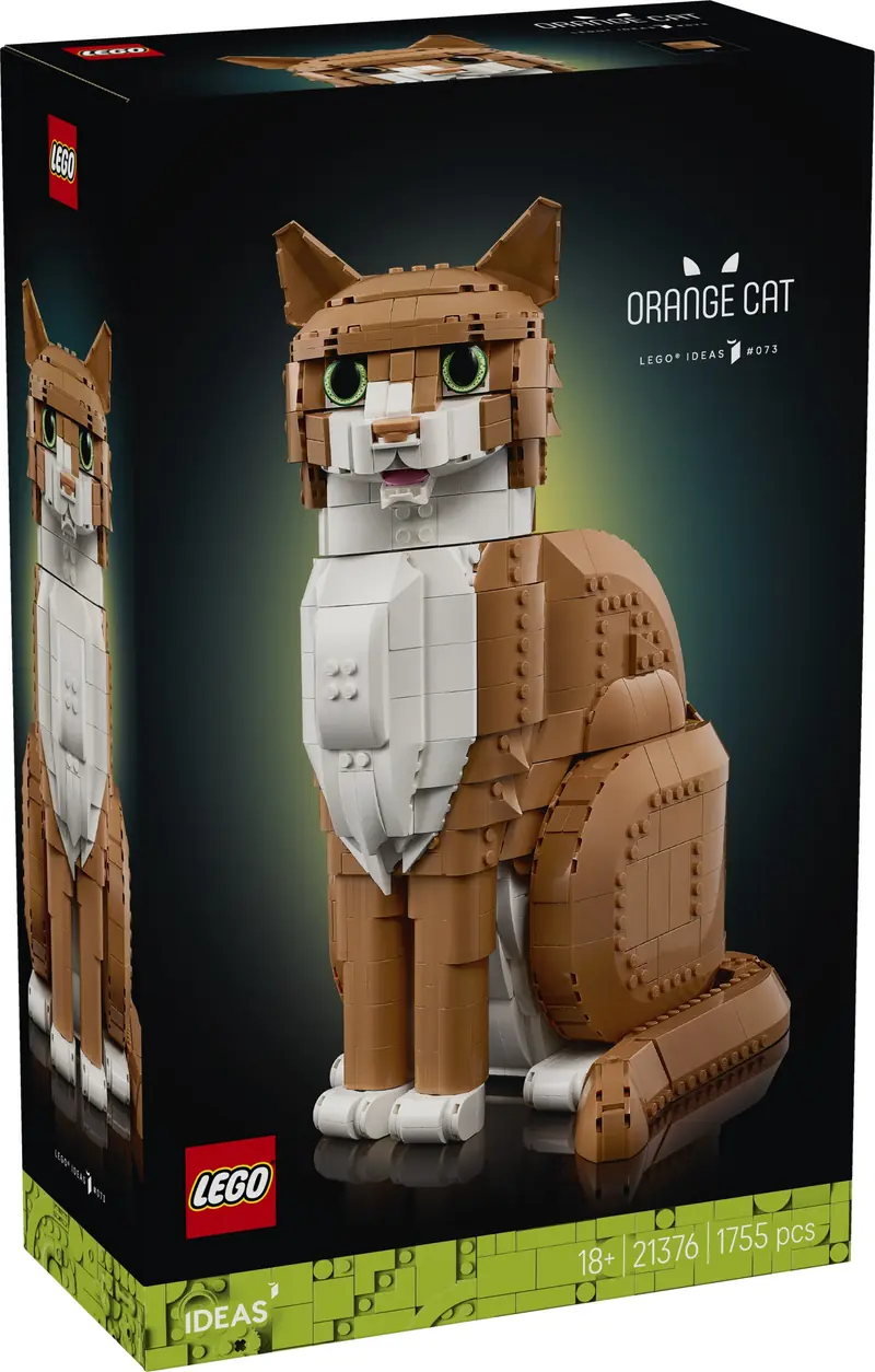 LEGO 21376 Rudy kot zdjęcie 8
