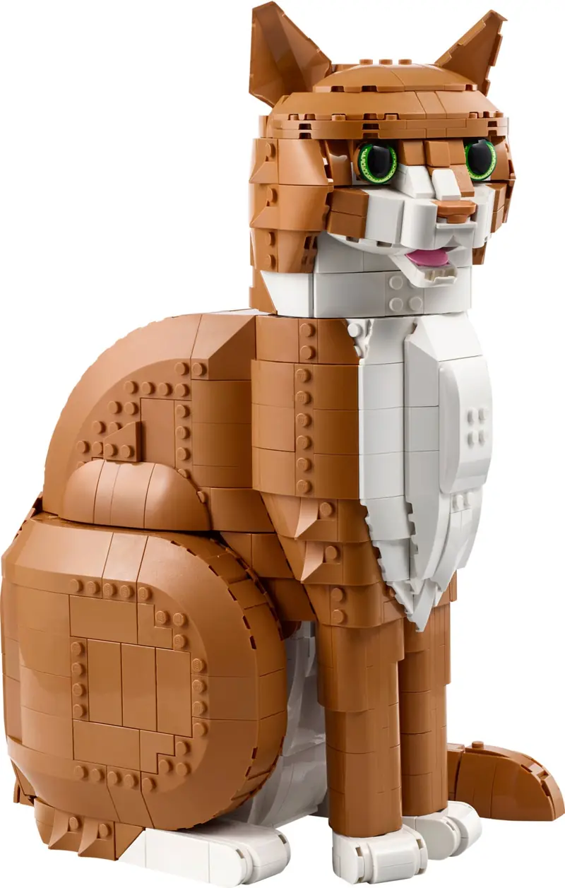 LEGO 21376 Rudy kot zdjęcie 3