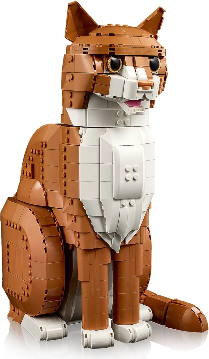 LEGO 21376 Rudy kot zdjęcie 5