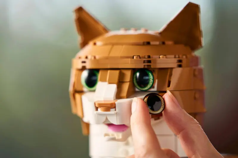 LEGO 21376 Rudy kot zdjęcie 14