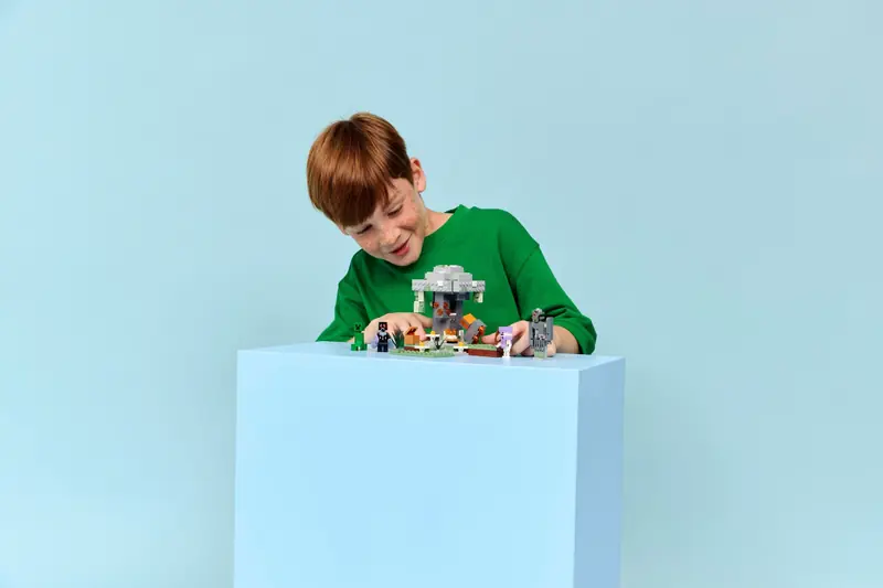 LEGO 21586 Blady ogród zdjęcie 7