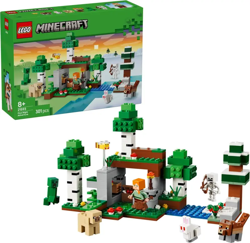 LEGO 21593 Przetrwanie pierwszej nocy zdjęcie 9