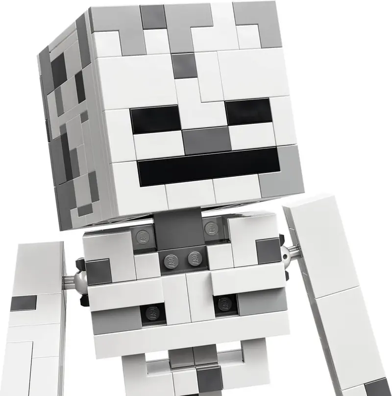 LEGO 21594 Szkielet zdjęcie 10