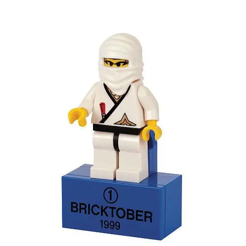 LEGO 2856223 Ninja Princess