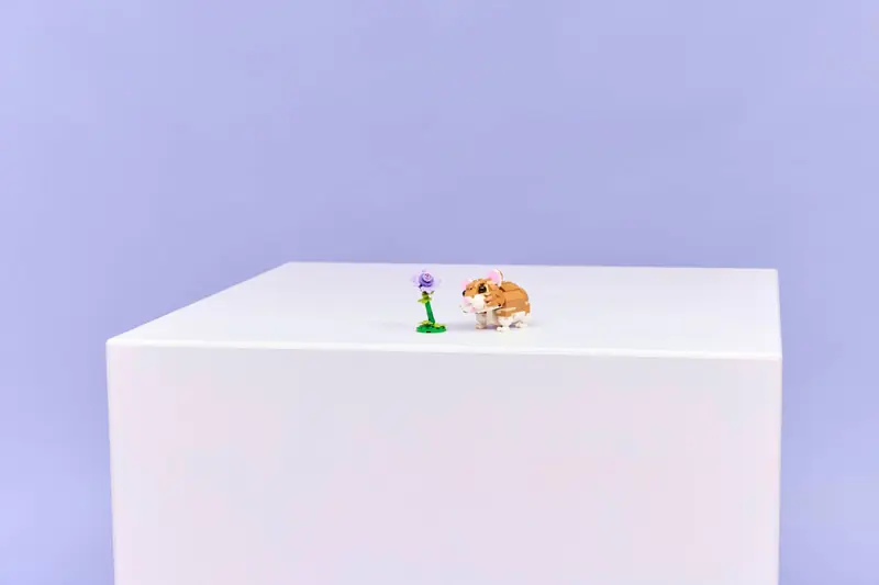 LEGO 31376 Uroczy chomik z kwiatkiem zdjęcie 7