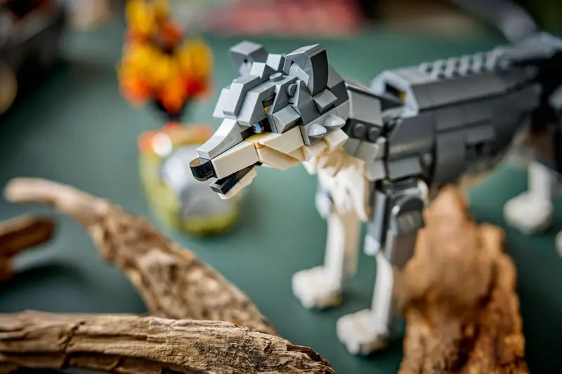 LEGO 31393 Leśne zwierzęta: Wilk szary zdjęcie 16