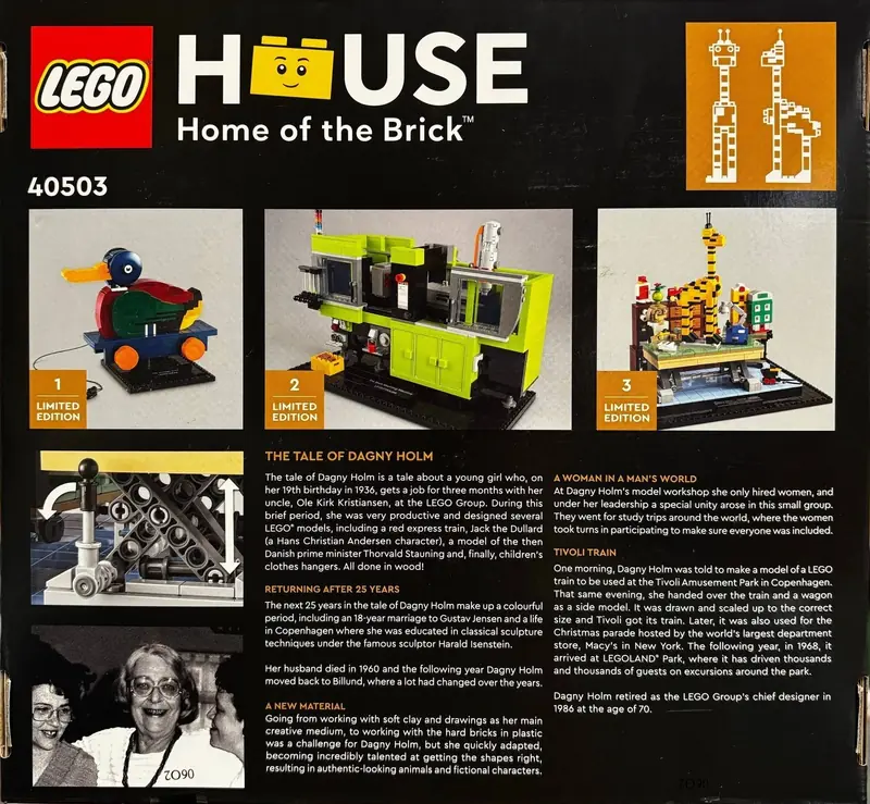 LEGO 40503 Dagny Holm - mistrzyni budowania zdjęcie 3