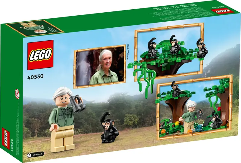 LEGO 40530 Hołd dla Jane Goodall zdjęcie 3