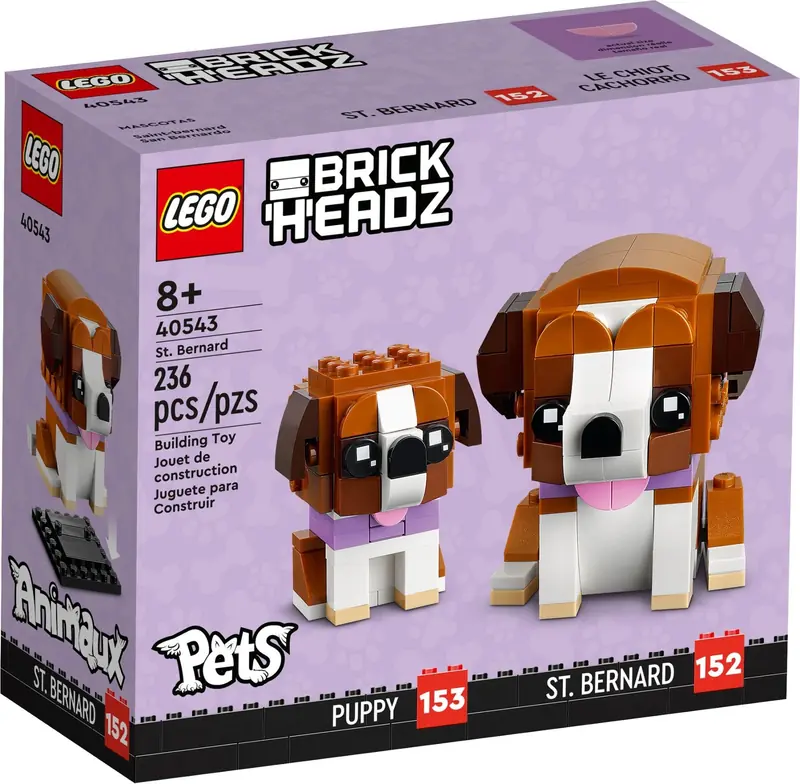 LEGO 40543 Bernardyn zdjęcie 2