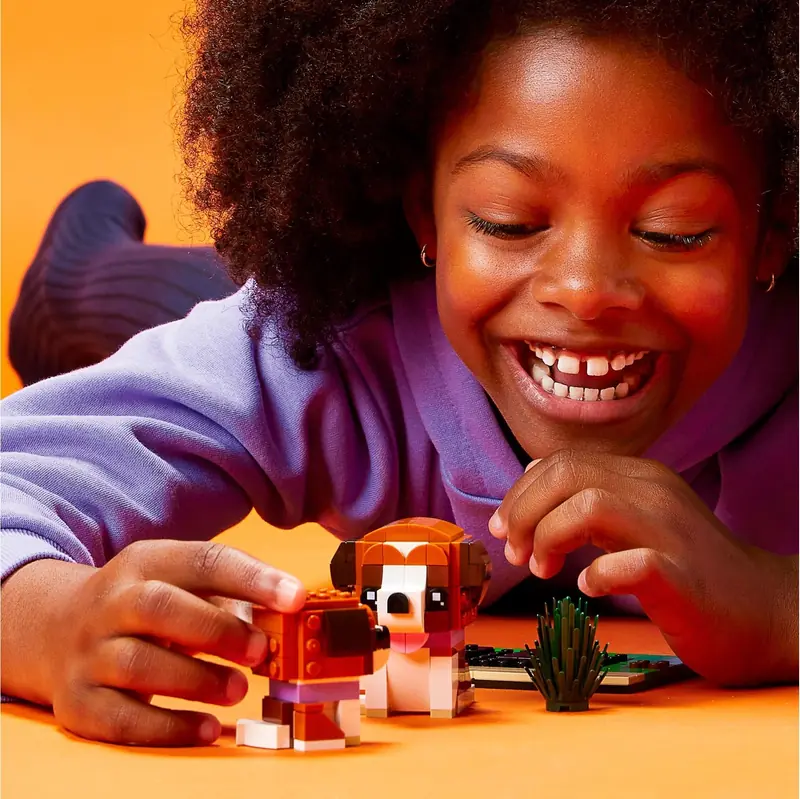 LEGO 40543 Bernardyn zdjęcie 4