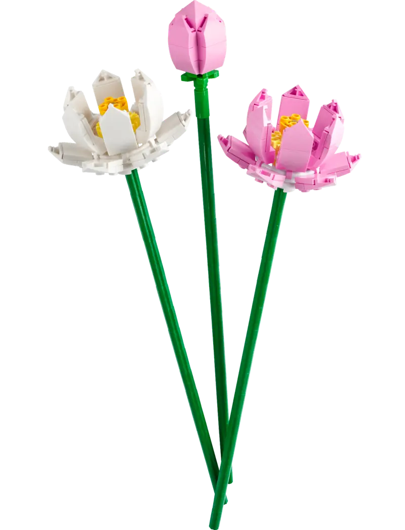 LEGO 40647 Kwiaty lotosu