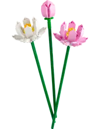 LEGO 40647 Kwiaty lotosu