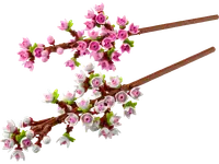 LEGO 40725 Kwiaty wiśni