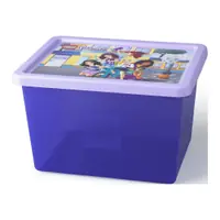LEGO 40941732 Storage Box Large with Friends Print