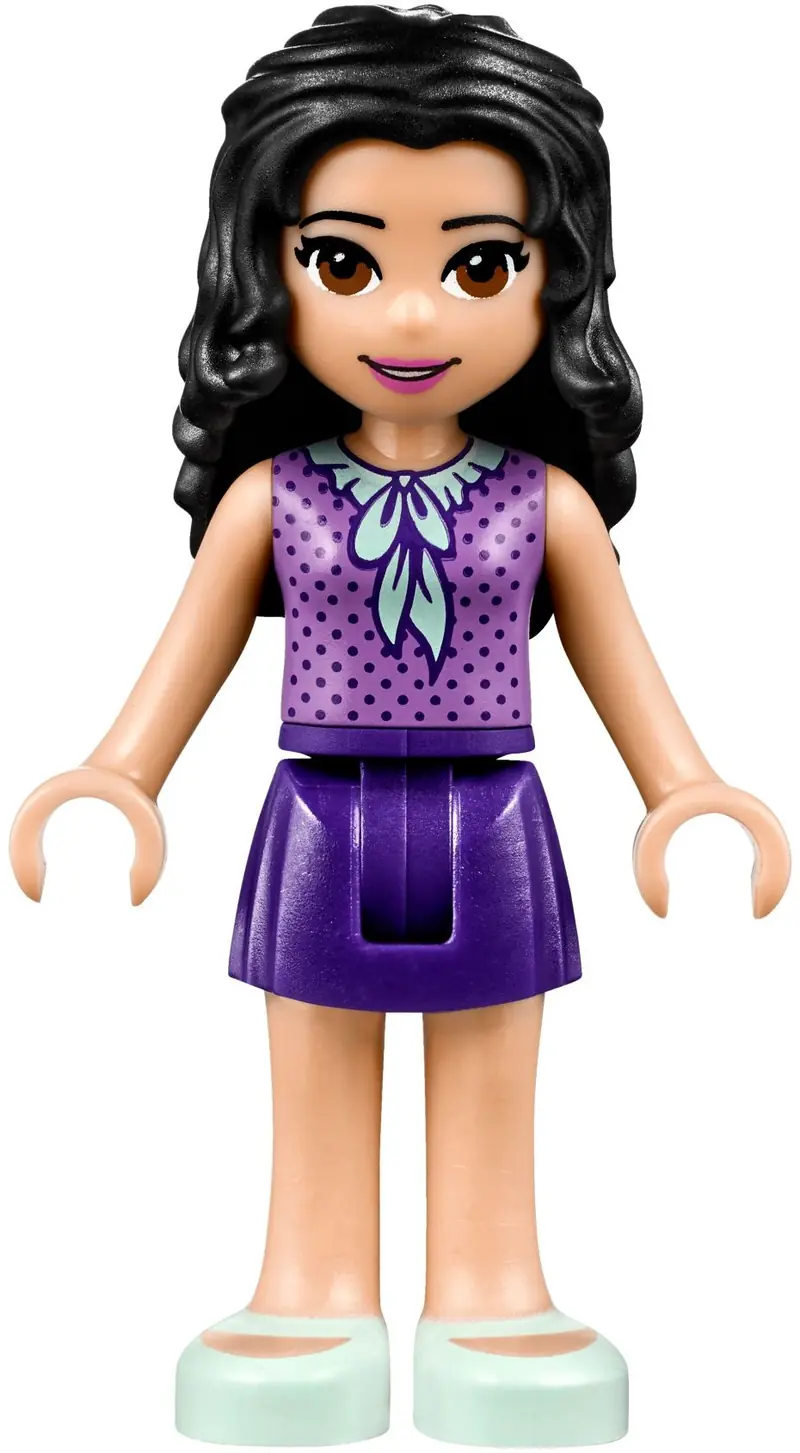 LEGO 41340 Dom przyjaźni zdjęcie 10