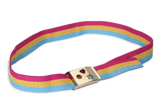 LEGO 4229482 Clikits Belt