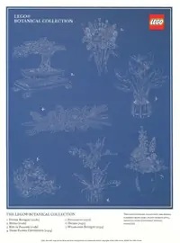LEGO 5007797 Botanical Collection Art Print – Blueprint