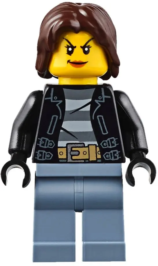 LEGO 60131 Wyspa rabusiów zdjęcie 12