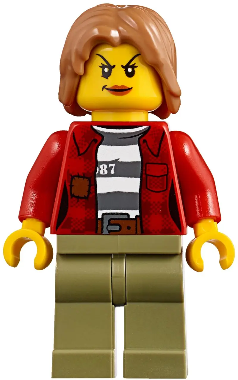 LEGO 60173 Aresztowanie w górach zdjęcie 12