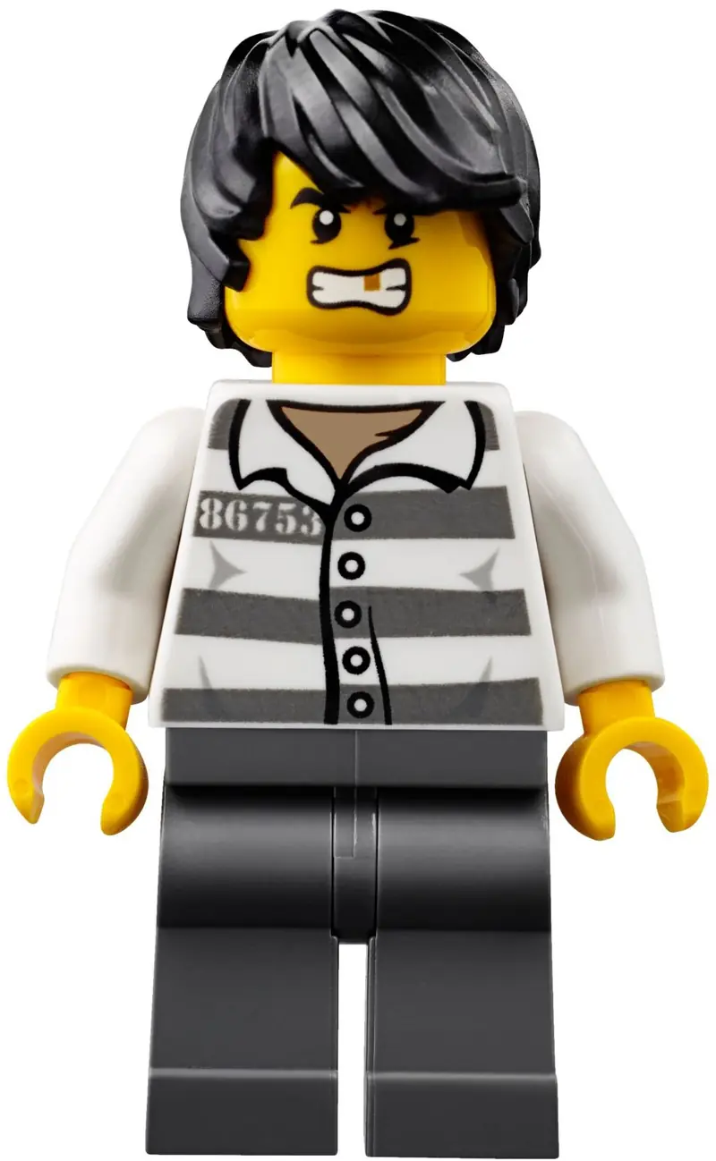 LEGO 60175 Napad nad górską rzeką zdjęcie 12