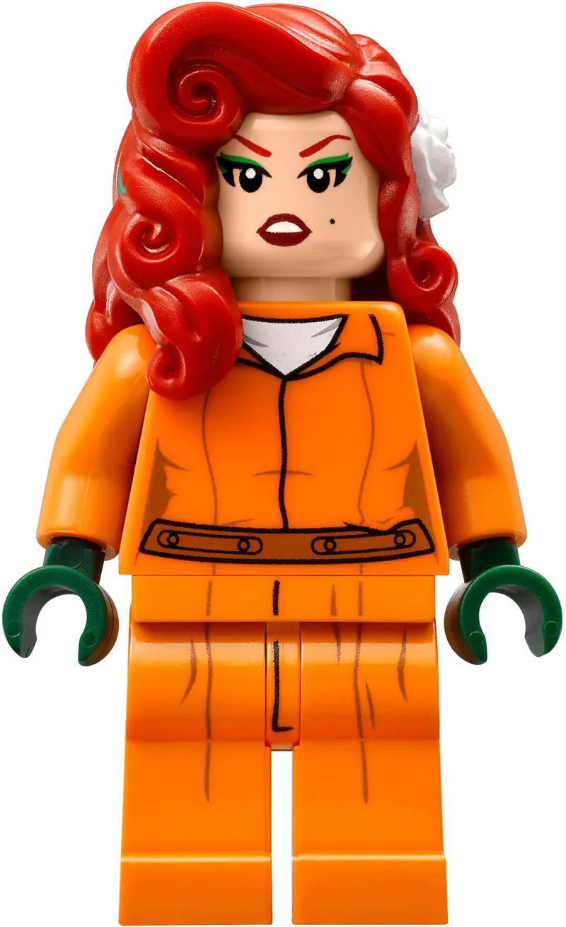 LEGO 70912 Azyl Arkham zdjęcie 12