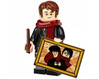 LEGO 71028 James Potter