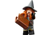 LEGO 71047 Tasha the Witch Queen
