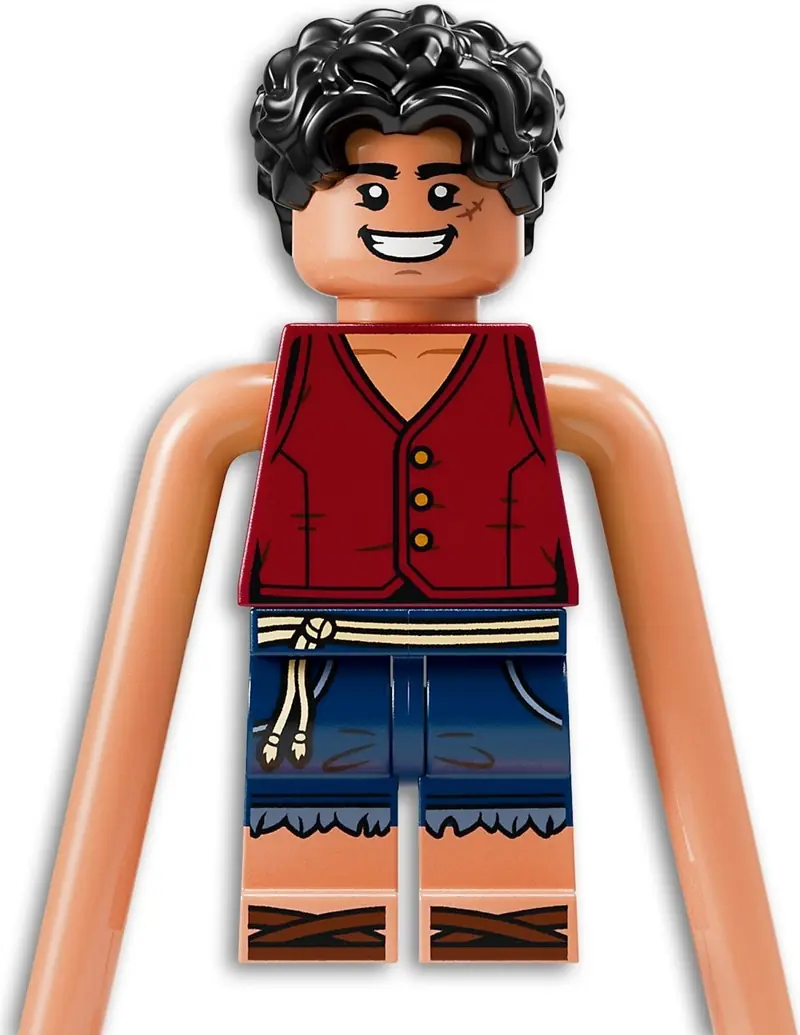 LEGO 75638 Bitwa w Arlong Park zdjęcie 8