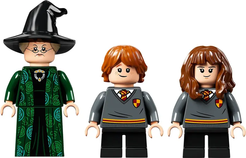 LEGO 76382 Chwile z Hogwartu: zajęcia z transmutacji zdjęcie 8