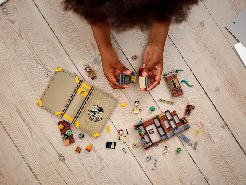 LEGO 76384 Chwile z Hogwartu: zajęcia z zielarstwa zdjęcie 9