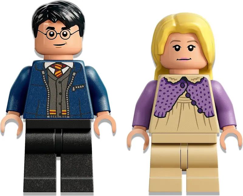 LEGO 76400 Testrale i kareta z Hogwartu zdjęcie 3