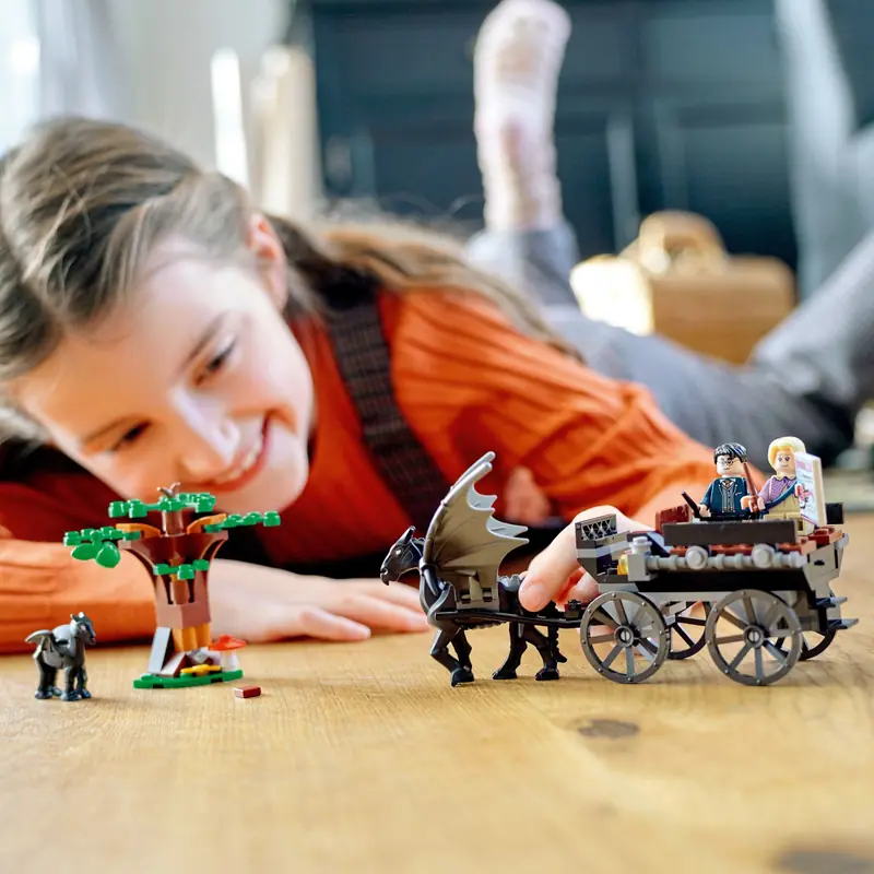 LEGO 76400 Testrale i kareta z Hogwartu zdjęcie 7