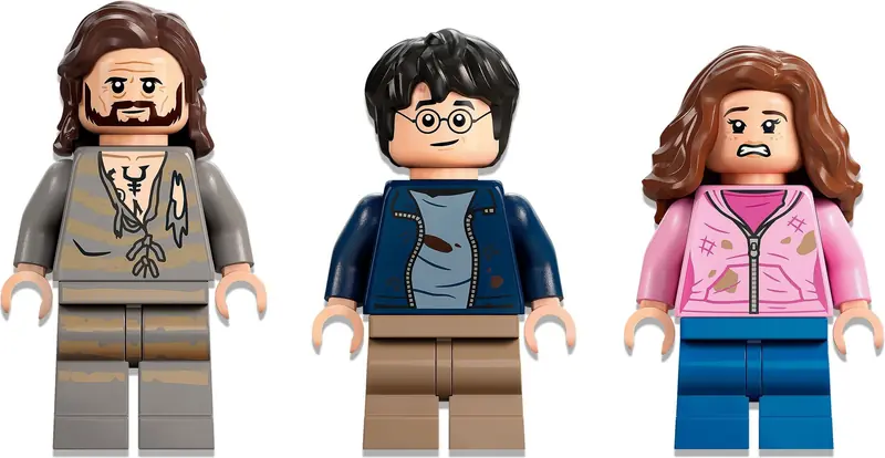 LEGO 76401 Dziedziniec Hogwartu: na ratunek Syriuszowi zdjęcie 2