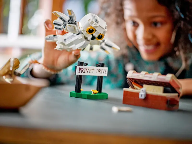 LEGO 76425 Hedwiga z wizytą na ul. Privet Drive 4 zdjęcie 10