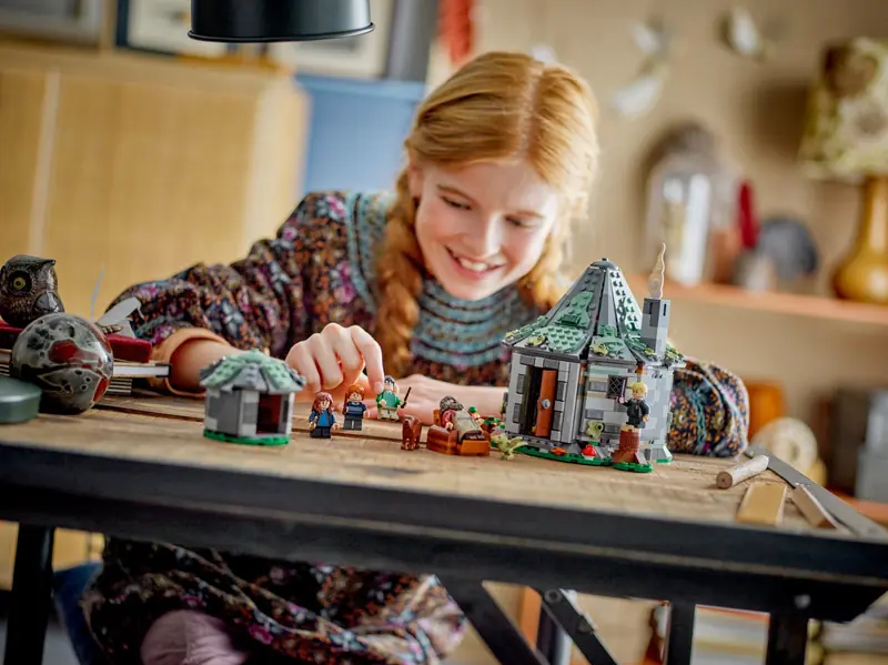 LEGO 76428 Chatka Hagrida: niespodziewana wizyta zdjęcie 12