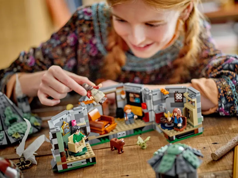LEGO 76428 Chatka Hagrida: niespodziewana wizyta zdjęcie 9