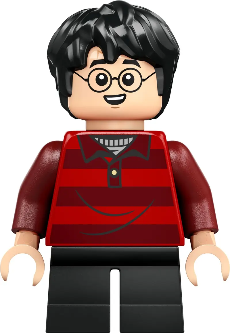 LEGO 76437 Nora - edycja kolekcjonerska zdjęcie 16
