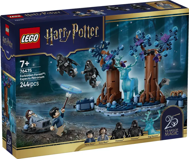 LEGO 76475 Zakazany Las: Expecto Patronum zdjęcie 2
