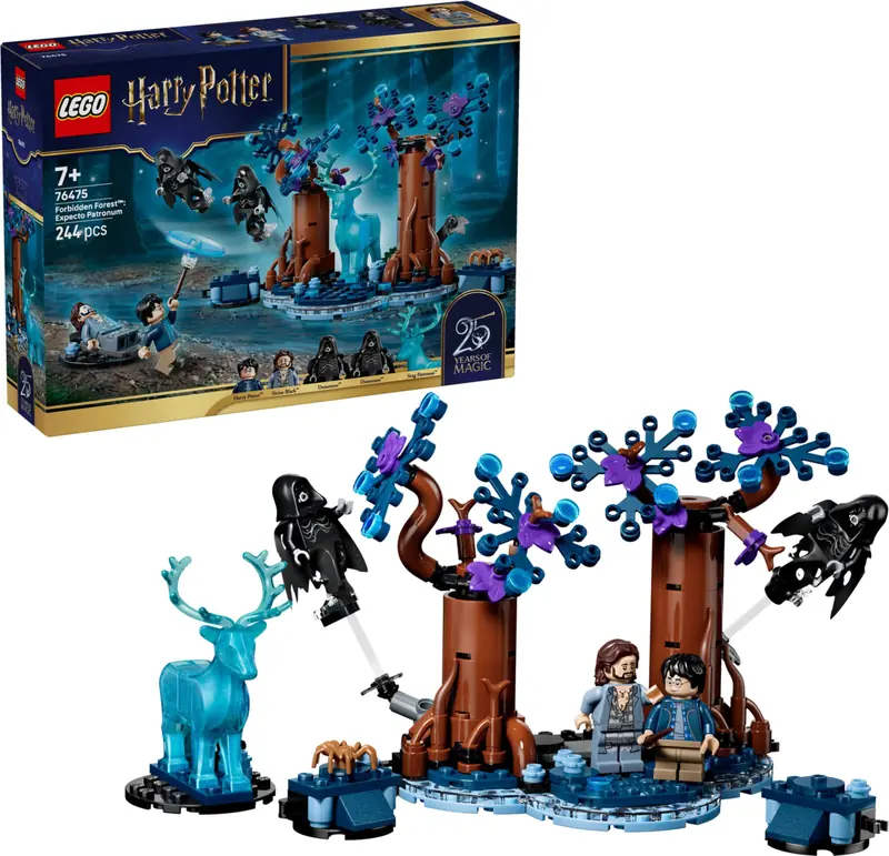 LEGO 76475 Zakazany Las: Expecto Patronum zdjęcie 4