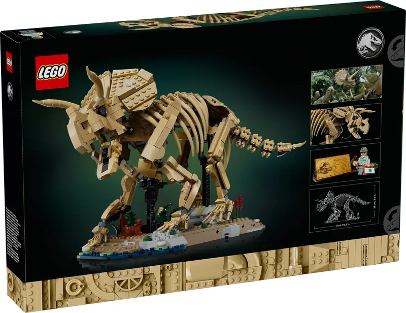 LEGO 77985 Szkielety dinozaurów: triceratops zdjęcie 2