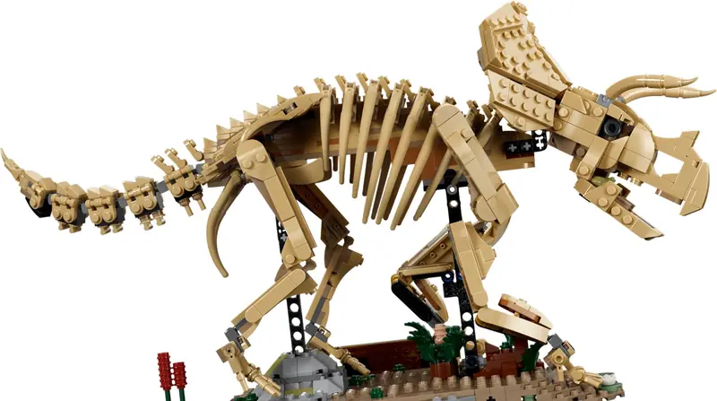 LEGO 77985 Szkielety dinozaurów: triceratops zdjęcie 4