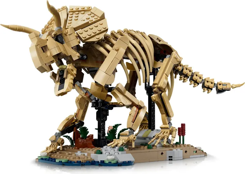 LEGO 77985 Szkielety dinozaurów: triceratops zdjęcie 5