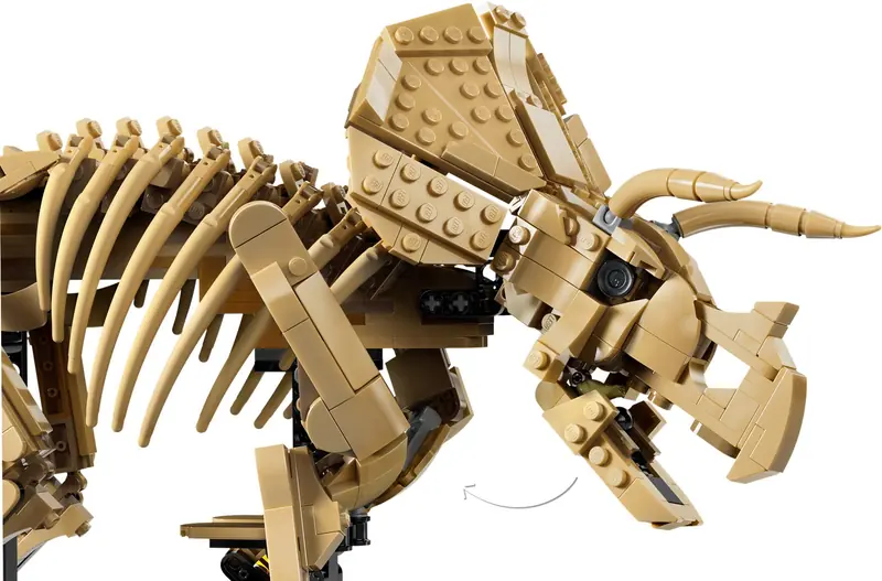 LEGO 77985 Szkielety dinozaurów: triceratops zdjęcie 6