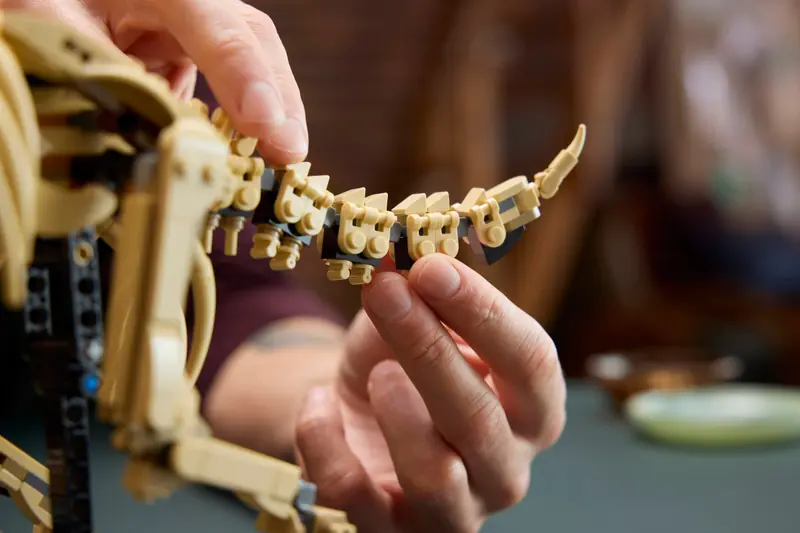 LEGO 77985 Szkielety dinozaurów: triceratops zdjęcie 15