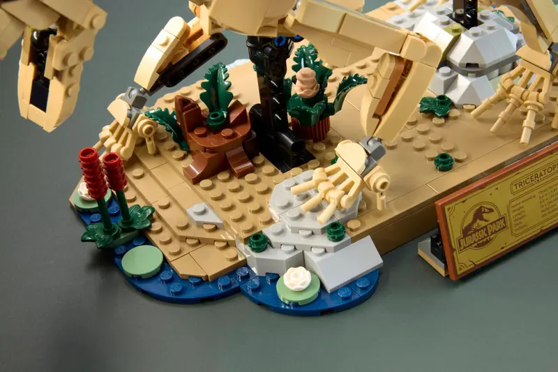 LEGO 77985 Szkielety dinozaurów: triceratops zdjęcie 8